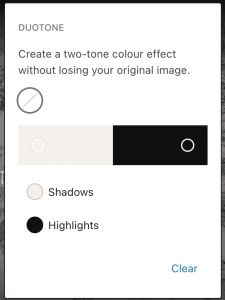 A screenshot of a duotone image editor interface, featuring options for shadows and highlights with color selections in black and white.